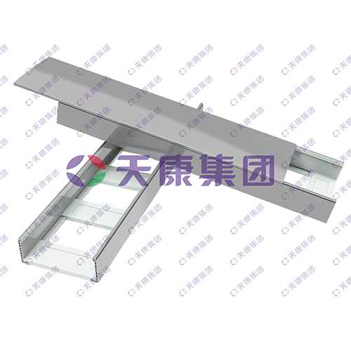 Ladder type polymer bridge