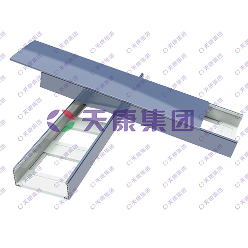 Ladder type polymer bridge